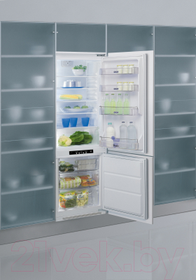 Встраиваемый холодильник Whirlpool ART 459/A+/NF/1 - общий вид