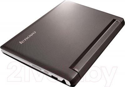 Ноутбук Lenovo Flex 10 (59436723) - общий вид