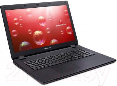 Ноутбук Packard Bell EasyNote LG71BM-P2YX (NX.C3VER.004) - вполоборота