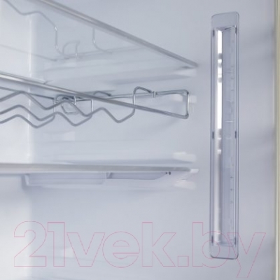 Холодильник с морозильником Samsung RL59GYBVB/BWT