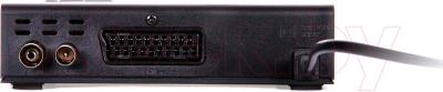 Тюнер цифрового телевидения TV Star T910 USB PVR - разъемы изделия