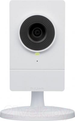 IP-камера D-Link DCS-2103 - общий вид