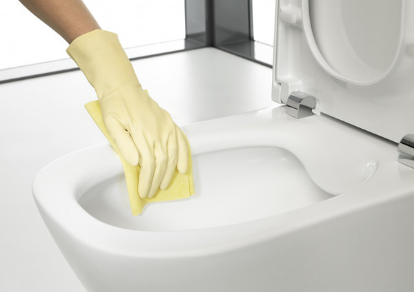 Купить Унитаз подвесной Roca The Gap Rimless 734647L000 в Солигорске