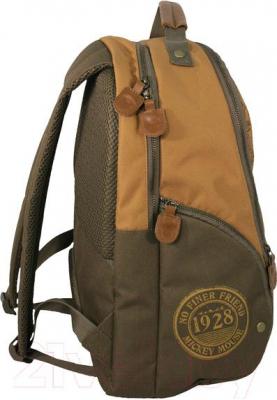Школьный рюкзак Paso DMR-812 - вид сбоку