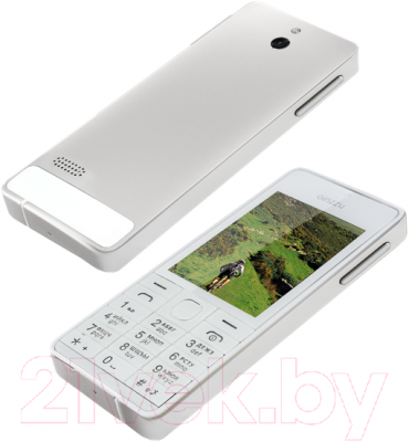 Мобильный телефон Ginzzu M105 Dual (серебристый)