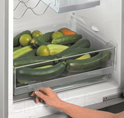 Холодильник с морозильником Bosch KGE36AI20R