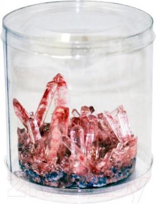 Набор для выращивания кристаллов КАРРАС Малый кристалл - кристалл