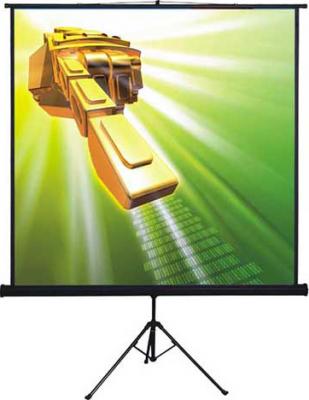 Проекционный экран Classic Solution Libra 180x180 (T 180x180/1 MW-LS/B) - общий вид