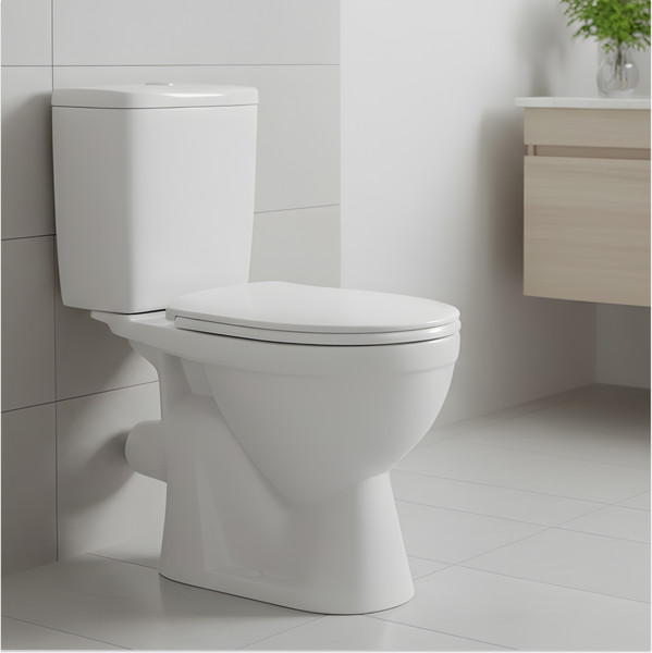 Купить Унитаз напольный Rosa Лира в Гродно