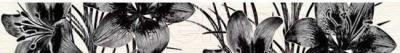 Бордюр Нефрит-Керамика Piano Черный (400x50)