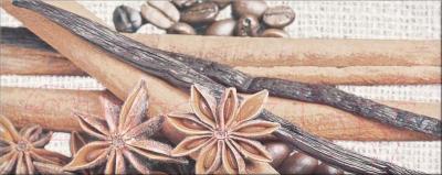 Декоративная плитка Opoczno Penne Coffee 2 OD018-006 (500x200)