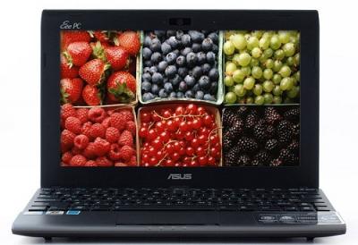 Ноутбук Asus EEE PC 1025C-GRY008S - Главная