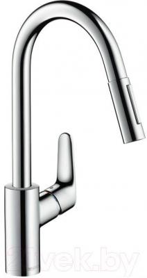 Смеситель Hansgrohe Focus 31815000