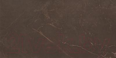 Плитка AltaCera Marble Marron WT9MRB21 (500x249)