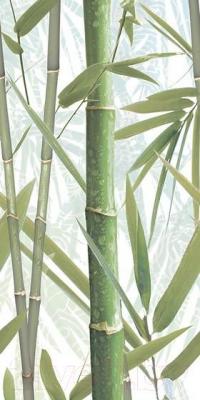 Декоративная плитка AltaCera Bamboo 1 DW9BMB104 (500x249)