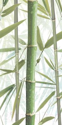 Декоративная плитка AltaCera Bamboo 3 DW9BMB304 (500x249)