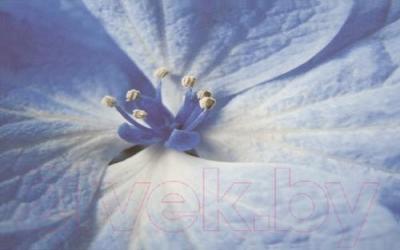 Декоративная плитка Ceramika Paradyz Acapulco Blue Kwiat (400x250)