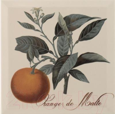 Декоративная плитка Monopole Provence Orange (200x200)