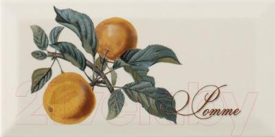Декоративная плитка Monopole Provence Pomme (200x100)