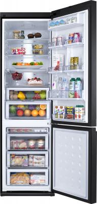 Холодильник с морозильником Samsung RL57TTE2C1 - общий вид