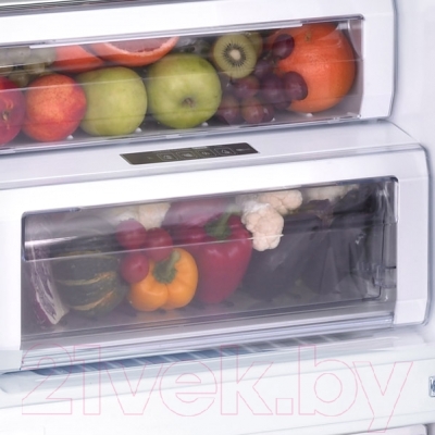 Холодильник с морозильником Samsung RL55TTE2A1