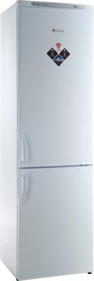 Холодильник с морозильником Swizer DRF-110-WSP - общий вид