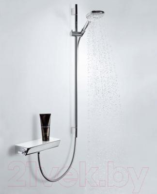 Смеситель Hansgrohe Ecostat Select 13161000