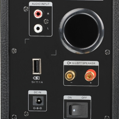 Мультимедиа акустика Microlab H 21 (черный) - входы/выходы