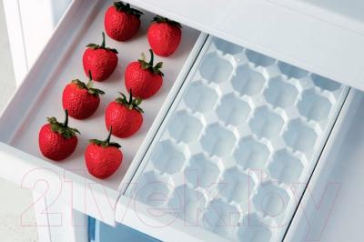 Холодильник с морозильником Beko RCNK320K21W - поддон для ягод IceBank