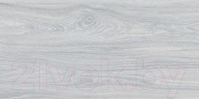 Плитка Kerama Marazzi Палисандр SG210800N (600x300, светло-серый)