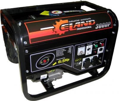 Бензиновый генератор Eland 3000P - общий вид