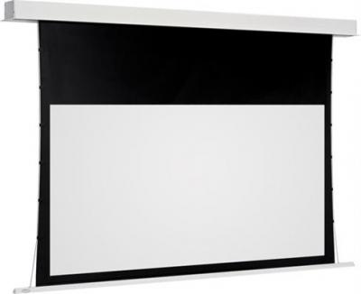 Проекционный экран Classic Solution Premier Leo-R 255x177 - общий вид