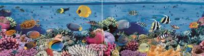 Панно Ceradim Reef (900x250)