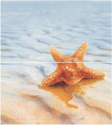 Панно Ceradim Starfish 1 (500x450)