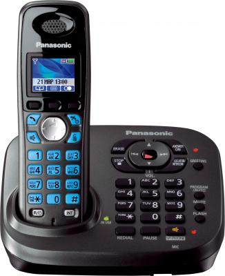 Беспроводной телефон Panasonic KX-TG8041 (титановый) - общий вид