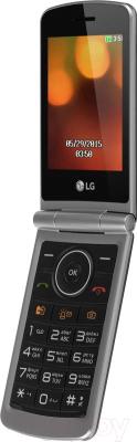 Мобильный телефон LG G360 (титановый)