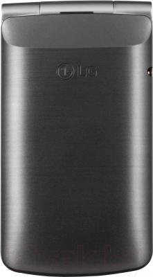 Мобильный телефон LG G360 (титановый)