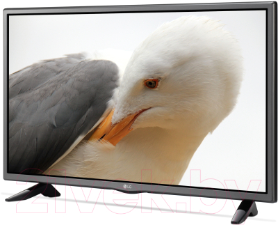 Телевизор LG 32LF510U