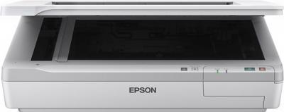 Планшетный сканер Epson WorkForce DS-50000 - фронтальный вид (открытый)