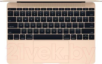 Ноутбук Apple MacBook / MK4N2RU/A