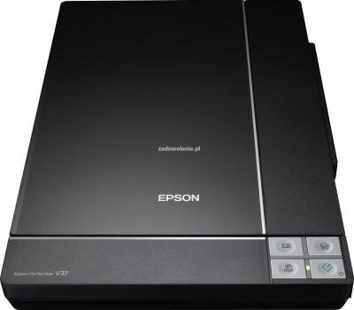 Планшетный сканер Epson Perfection V37 - фронтальный вид