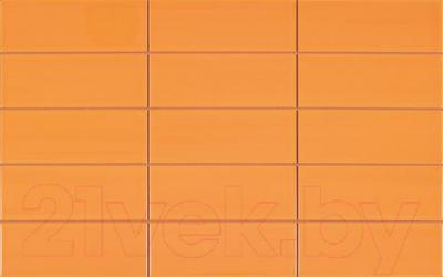 Плитка Pamesa Ceramica Vetro Rlv Naranjal (400x250)