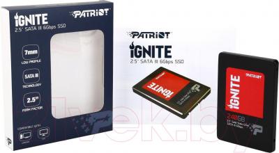 SSD диск Patriot Ignite 240GB (PI240GS325SSDR)