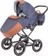 Миниатюра изображения товара Детская универсальная коляска Anex Classic 2 в 1 (C07)