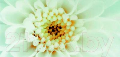 Декоративная плитка Opoczno Tensa/Diago Beige Flower В OD703-002 (600x297)
