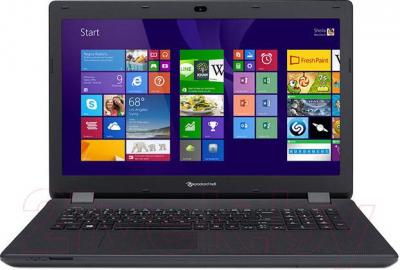 Ноутбук Packard Bell Easynote ENLG81BA-C2KM (NX.C45EU.001)