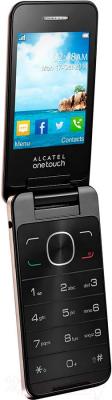 Мобильный телефон Alcatel One Touch 2012D (золотой)