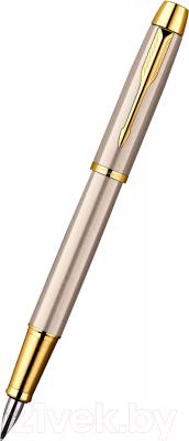 Ручка перьевая имиджевая Parker IM Brushed Metal GT S0856230 - общий вид