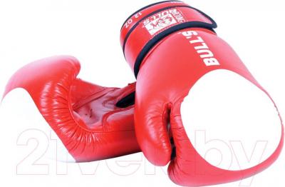 Боксерские перчатки Bulls TT-2001-10