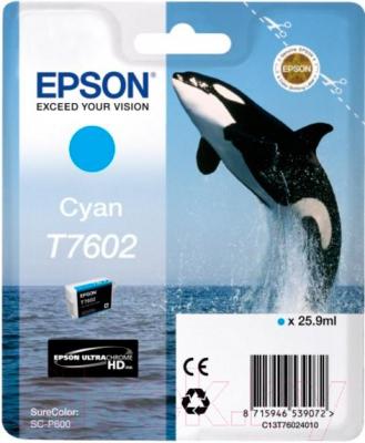 Картридж Epson C13T76024010